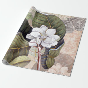 Papier Cadeau Vintage Magnolia Élégant Collage Botanique