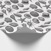 Papier Cadeau Vintage Seashell Ocean Nature Sketch Pattern (Coin)
