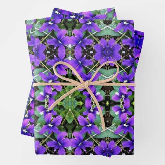 Papier cadeau Violets de bois pourpre (En situation)