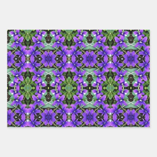 Papier cadeau Violets de bois pourpre (Devant)