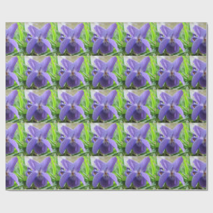 Papier Cadeau Violette douce