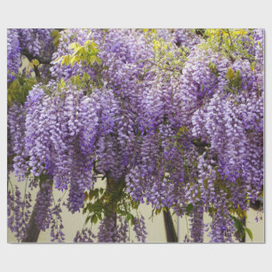Papier Cadeau Violette Wisteria
