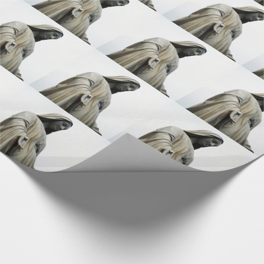 Papier Cadeau Virgin Mary (Coin)