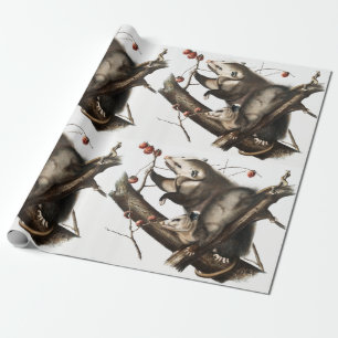 Papier Cadeau Virginian Opossum Didelphis Virginia Illustration