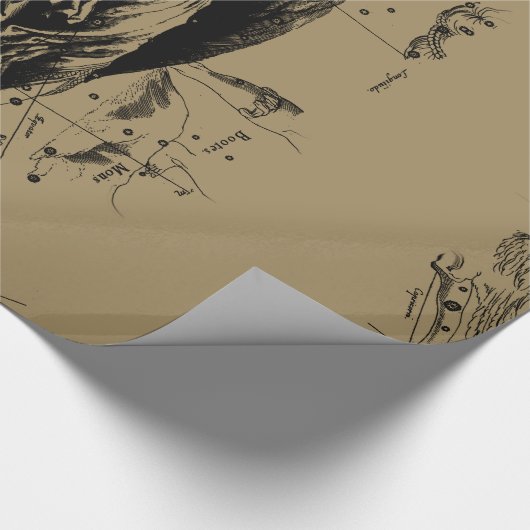 Papier Cadeau Virgo Constellation Hevelius Etching Style (Coin)