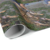 Papier Cadeau Vis du mouton (Coin rond)