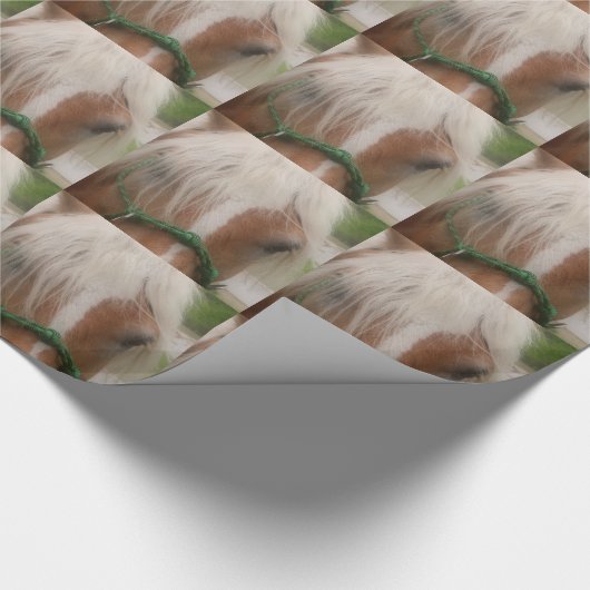 Papier Cadeau Visage de cheval mignon (Coin)