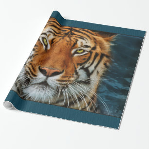 Papier Cadeau Visage de tigre
