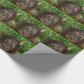 Papier Cadeau Visage d'orang-outan (Coin)