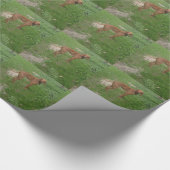 Papier Cadeau vizsla complet (Coin)