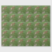 Papier Cadeau vizsla complet (Plat)