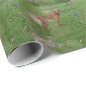 Papier Cadeau vizsla complet (Coin rond)