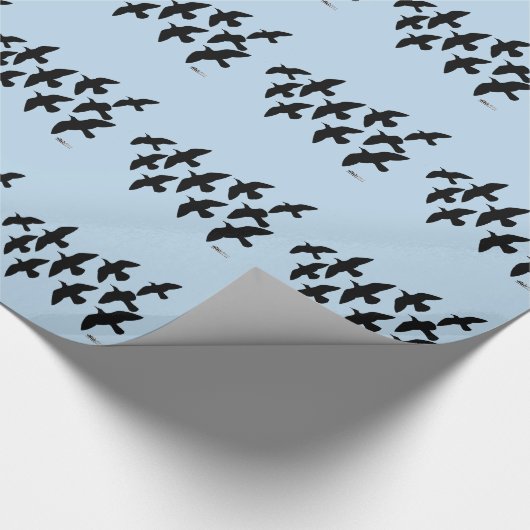 Papier Cadeau Vol de pigeons (Coin)