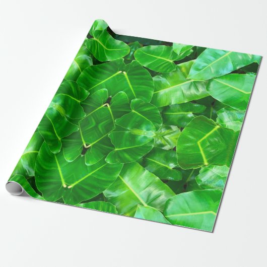 Papier Cadeau Volage vert tropical (Déroulé)
