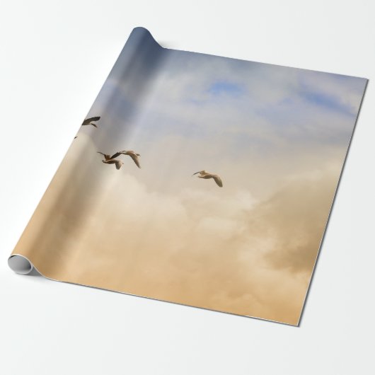 Papier Cadeau Vols d'oiseaux (Déroulé)