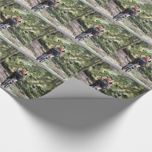 PAPIER CADEAU VTT (Coin)