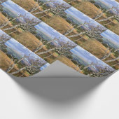 PAPIER CADEAU VUES DES ALLES (Coin)