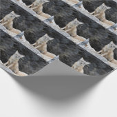 Papier Cadeau Vulpes corsac (Coin)