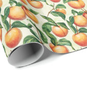Papier Cadeau Warm Apricot Botanical Peach Illustration (Coin rond)