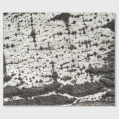 Papier Cadeau Weathered birch trunk (Plat)