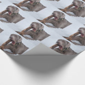 Papier Cadeau Weimaraner (Coin)