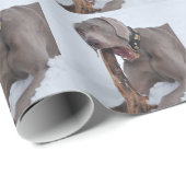 Papier Cadeau Weimaraner (Coin rond)