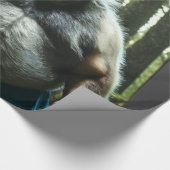 Papier Cadeau Werewolf Ate The Village papier d'emballage brilla (Coin)