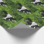 Papier Cadeau Western Farm Ranch Holstein Calf Dans L'Herbe (Coin)