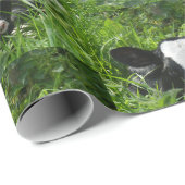 Papier Cadeau Western Farm Ranch Holstein Calf Dans L'Herbe (Coin rond)