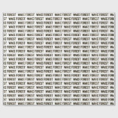 Papier Cadeau WFU | Wake Forest (Plat)