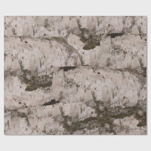 Papier Cadeau White Birch (Plat)