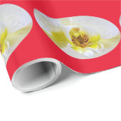 Papier Cadeau White Orchid (Coin rond)