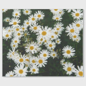 Papier Cadeau White Oxeye Daisy Meadow (Plat)