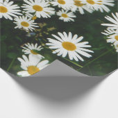 Papier Cadeau White Oxeye Daisy Meadow (Coin)