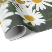 Papier Cadeau White Oxeye Daisy Meadow (Coin rond)