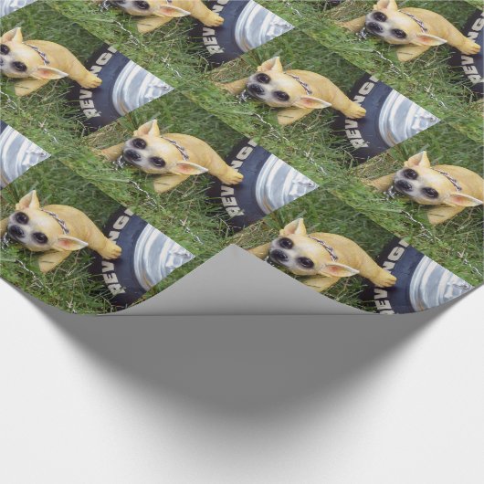 Papier Cadeau Whiz Kid (Coin)