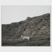 PAPIER CADEAU WILD CHAT (Plat)