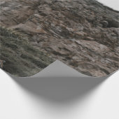 PAPIER CADEAU WILD CHAT (Coin)