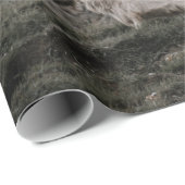 PAPIER CADEAU WILD CHAT (Coin rond)