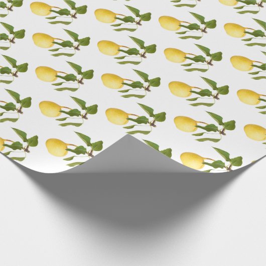 Papier Cadeau Wild pear (Coin)