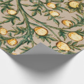 Papier Cadeau William Morris Fruit Floral Jardin Fleur Classique (Coin)