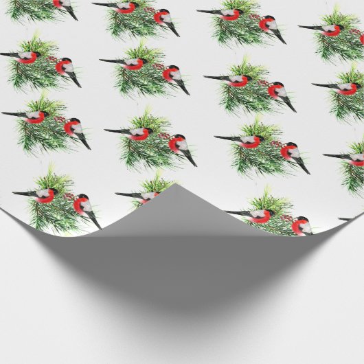 Papier Cadeau Winter Birds (Coin)