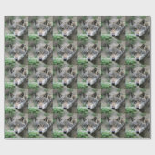 Papier Cadeau Wolf_011 (Plat)