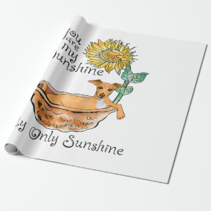 Papier Cadeau Womens You Are My Sunshine Italian