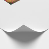 Papier Cadeau Wrapping paper (Coin)