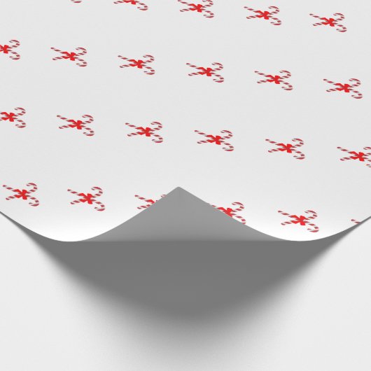 Papier Cadeau Wrapping Paper (Coin)