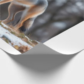 Papier Cadeau Wrapping paper  (Coin)