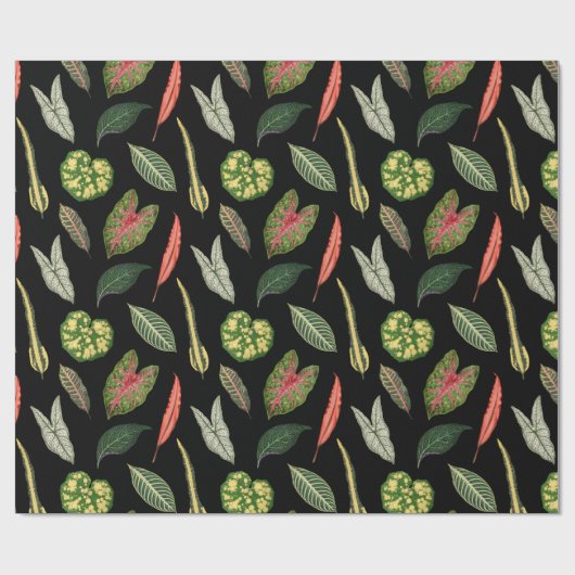 Papier Cadeau Wrapping Paper (Plat)