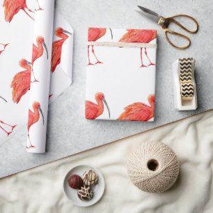 Papier Cadeau Wrapping Paper - Scarlet Ibis