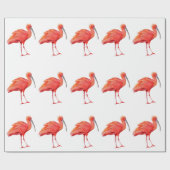 Papier Cadeau Wrapping Paper - Scarlet Ibis (Plat)